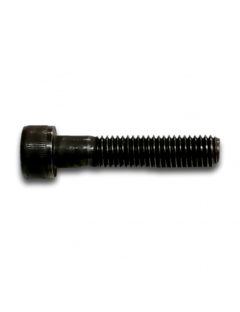VIS CHC M8x40 CL8.8