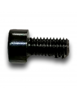 CAP HEAD SCREW M5X10 CL8.8...